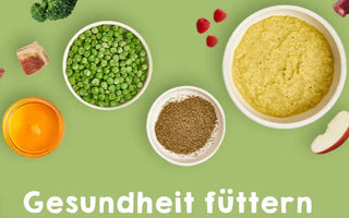 Welches Gemüse beim BARFen füttern?