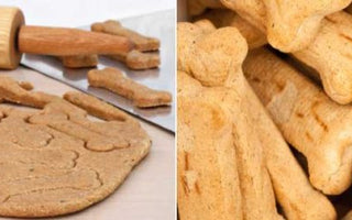 Hundekekse backen: leckere Hundekeks-Rezepte - haustierkost.de