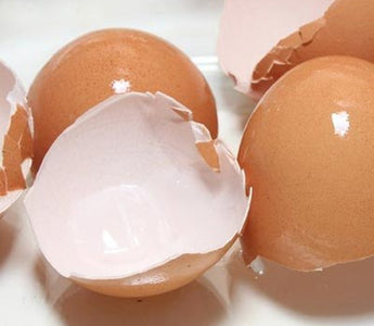 Eierschalenmehl