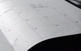 Hund impfen mit Impfplan