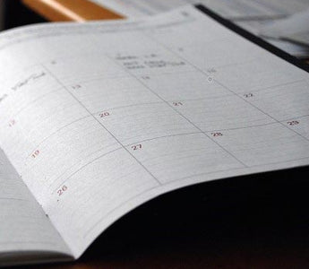 Hund impfen mit Impfplan