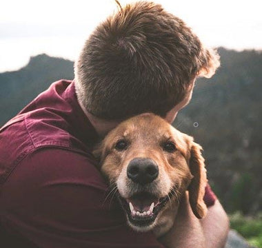 Therapiehund