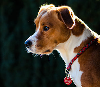 Verstopfung nach Umstellung