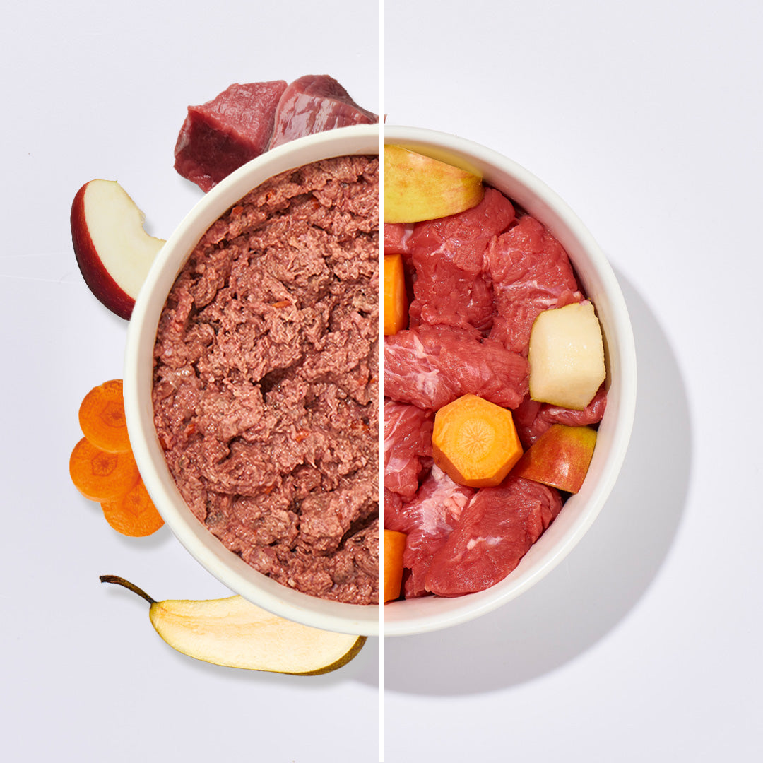 BARF Komfort PLUS Rind Hunde-Rohfutter mit frischem Rindfleisch, Innereien, Obst und Gemüse in einer Schüssel, halb roh halb zerkleinert