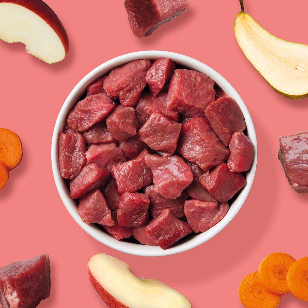 BARF Komfort PLUS Probierpaket Rind, 16 x 250 g, mit rohem Rindfleisch, Pansen, Kalbsbrustbein, Gemüse und Obst.