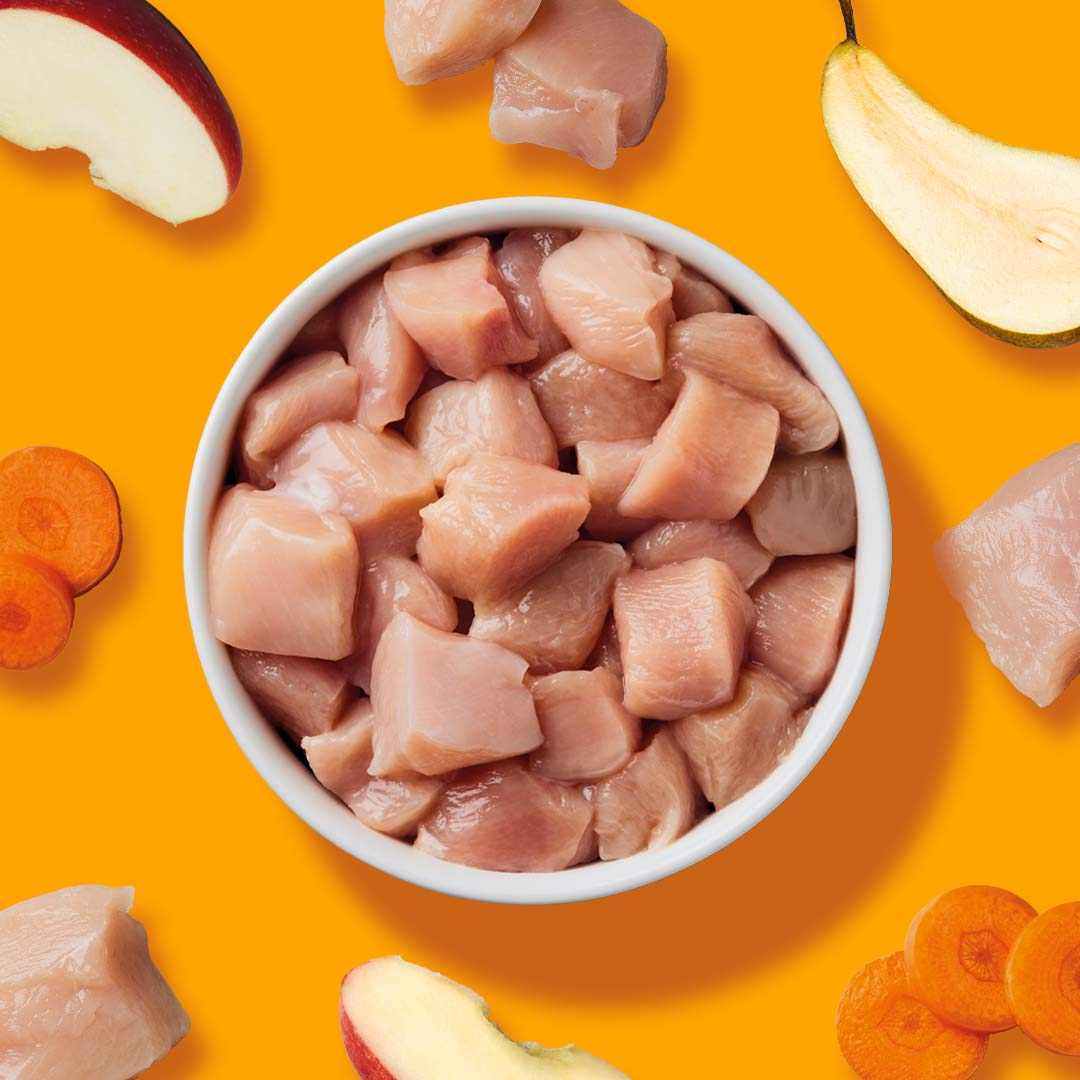 BARF Komfort PLUS Huhn - Hühnerfleischmischung mit Karotten, Äpfeln und Leinöl in weißer Schüssel, auf orangefarbenem Hintergrund.