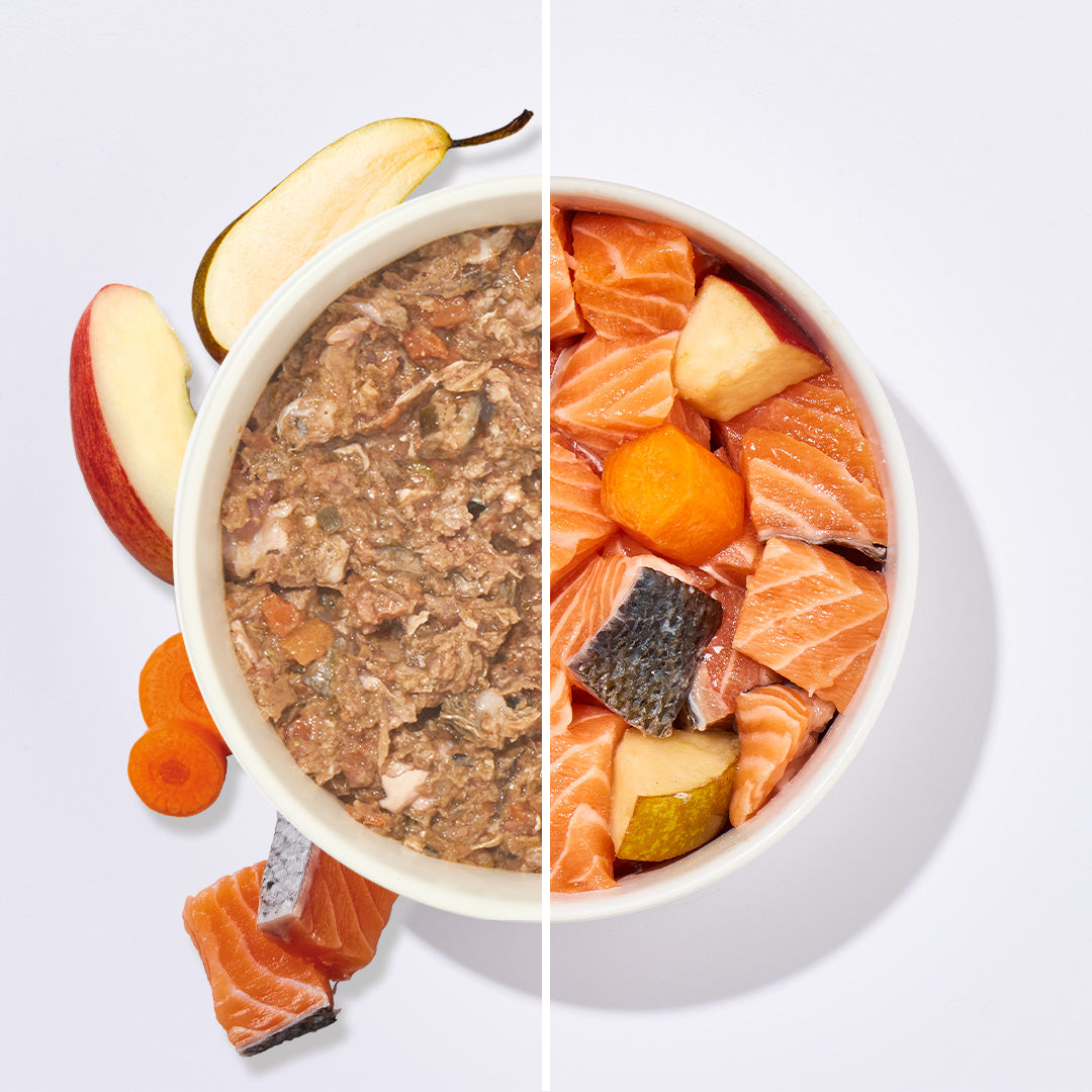 BARF Komfort PLUS Lachs Hundefutter mit Lachs, Obst und Gemüse in Schalenhälften