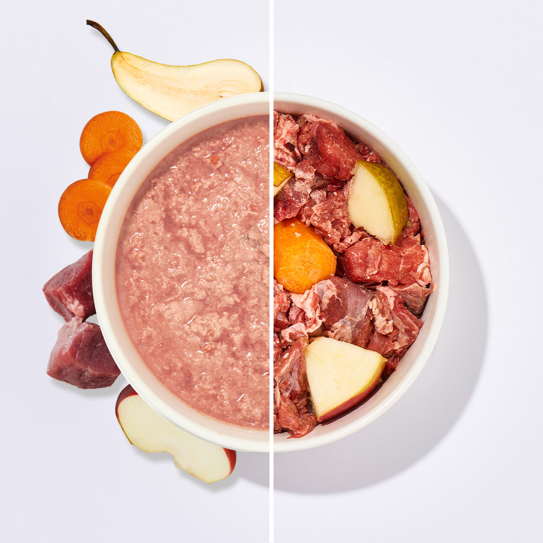 BARF Komfort PLUS Lamm Hundefutter mit rohem Lammfleisch, Gemüse und Obst in Schale