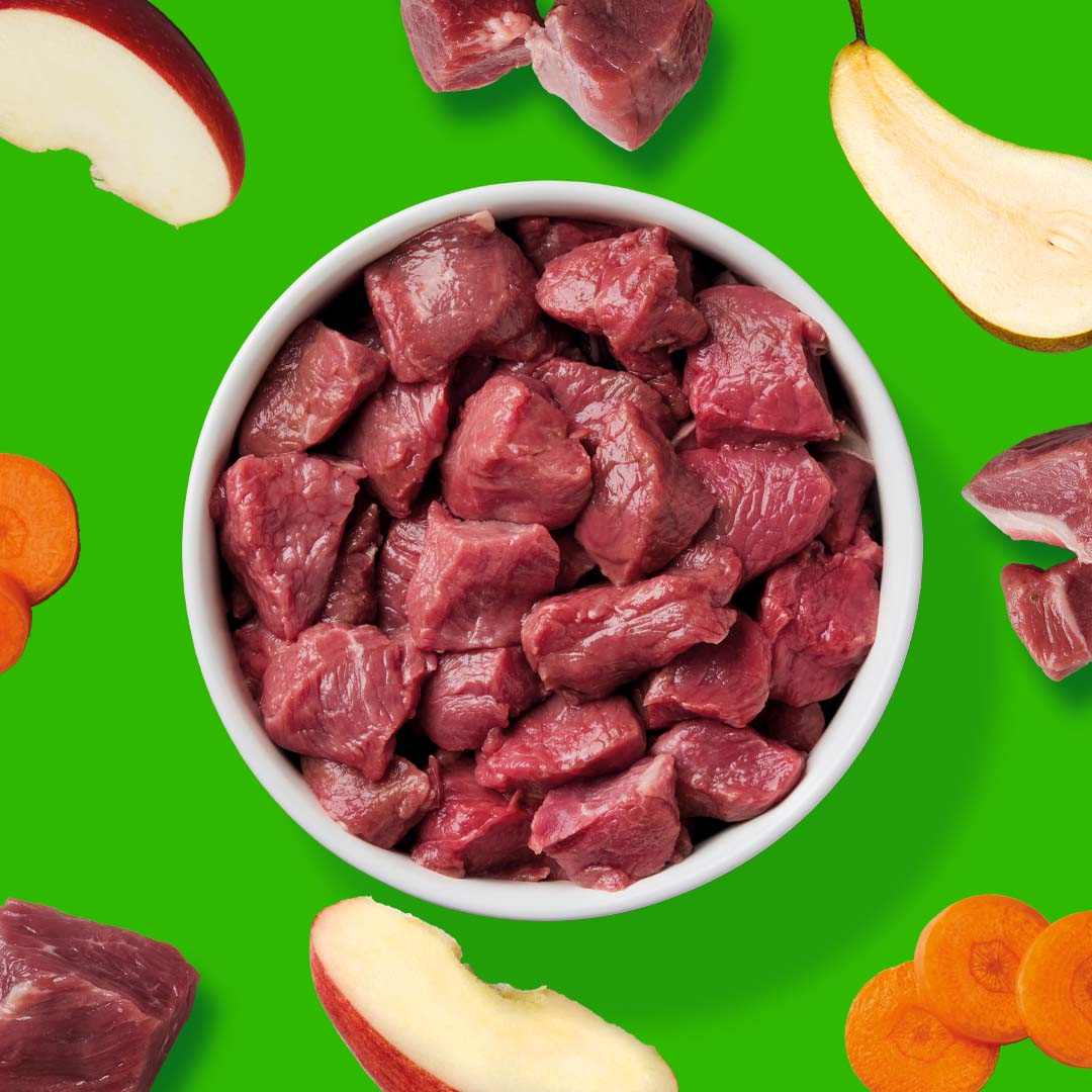 BARF Komfort PLUS Lamm 250 g; Hunde-BARF-Produkt mit Lammfleisch, Lammpansen und Obststücken auf grünem Hintergrund.