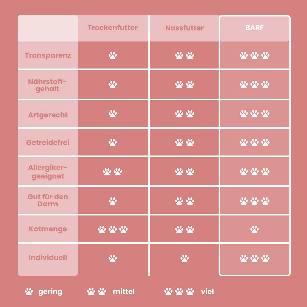 Infografik zum Vergleich von Trockenfutter, Nassfutter und BARF in Nährstoffgehalt, Artgerechtigkeit, Getreidefreiheit, Allergikereignung, Darmverträglichkeit, Kotmenge und Individualität.