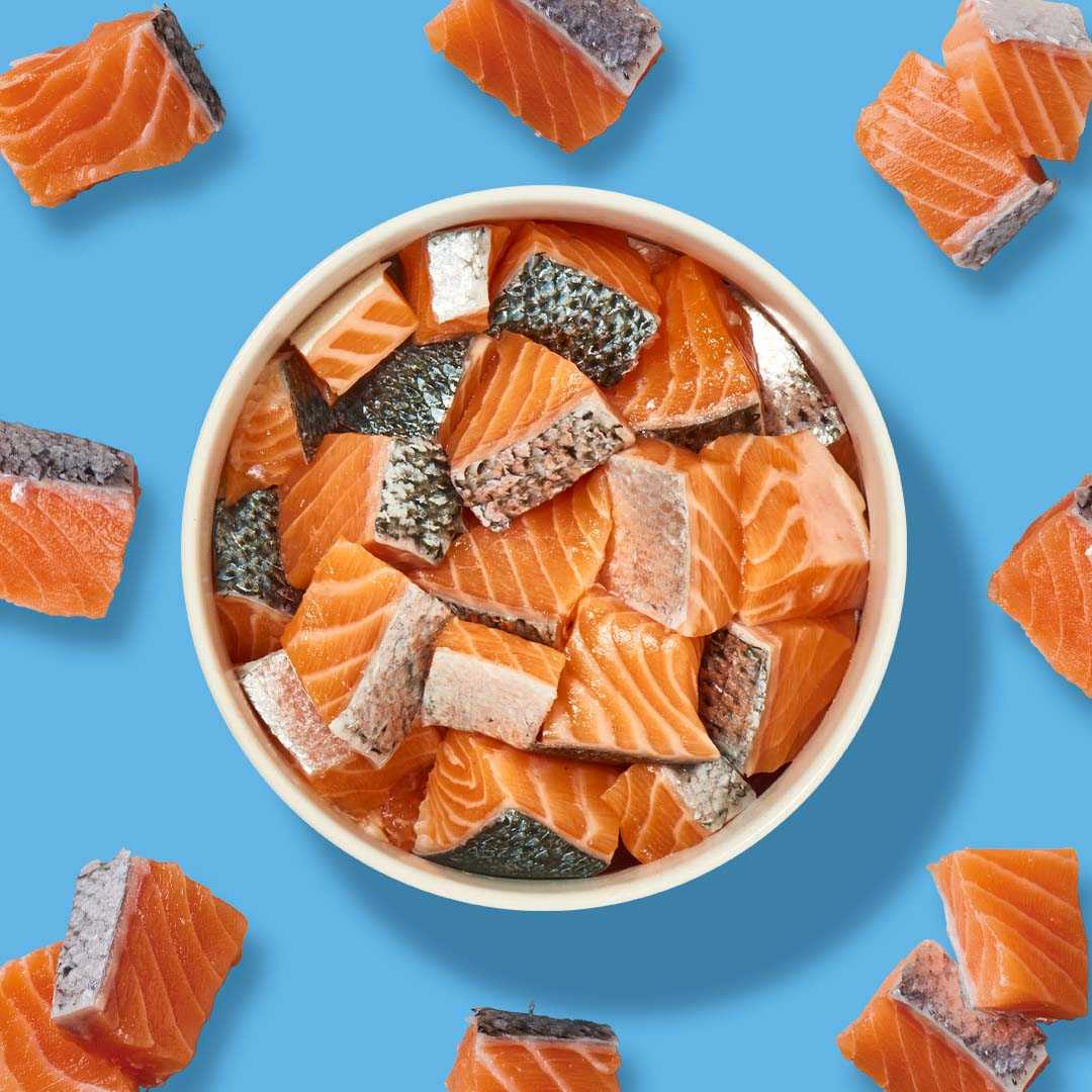Krabben-Lachs-Mix in Schüssel, reich an Proteinen und Omega-Fettsäuren, auf blauem Hintergrund.