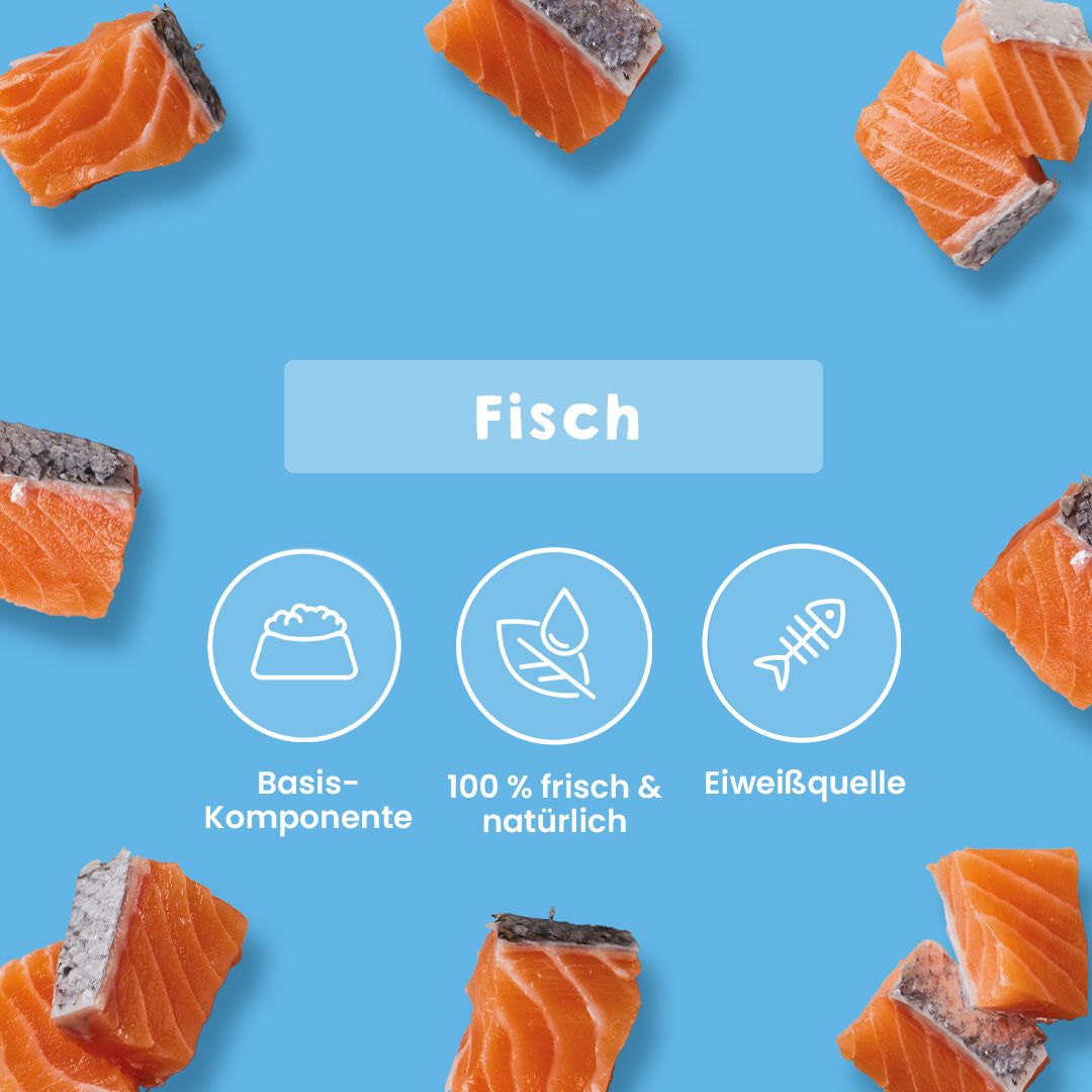 Krabben-Lachs-Mix, 500 g, reich an Proteinen und Omega-Fettsäuren, für Hunde und Katzen geeignet.