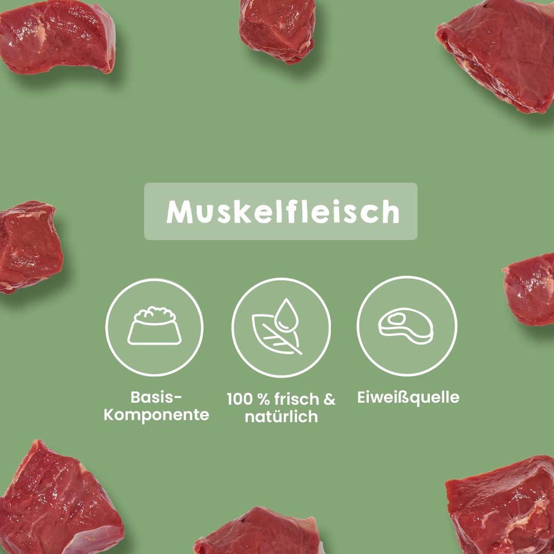 Wildfleischwürfel 500g, frisches Muskelfleisch als proteinreiche, natürliche Basisnahrung für Hunde und Katzen, gut portionierbar, geeignet auch für sensible und allergische Tiere.