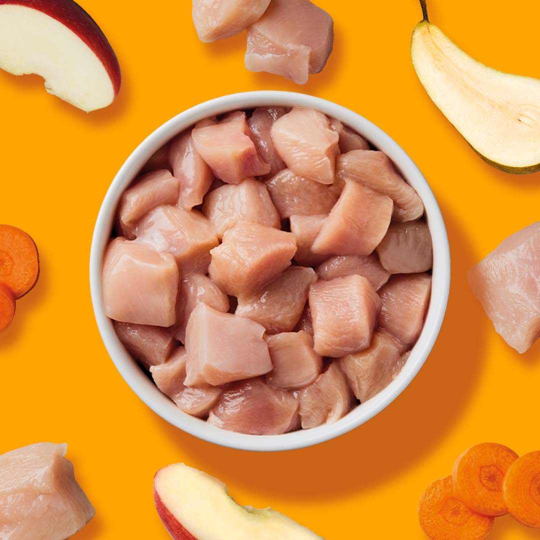 BIO BARF Komfort PLUS Huhn, rohes Hühnerfleisch mit BIO-Karotten, Äpfeln und Birnen. Im Napf auf orangenem Hintergrund.