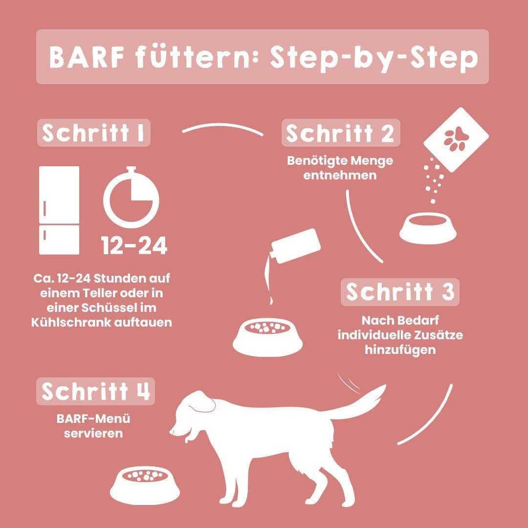 BARF Komfort PLUS Rindfutter Anleitung für Hunde in vier Schritten dargestellt.