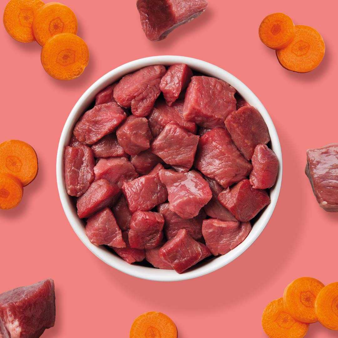 BARF Komfort PLUS CAT Rind, rohes Katzenfutter mit Rindfleisch und Karotten, 250 g Schale