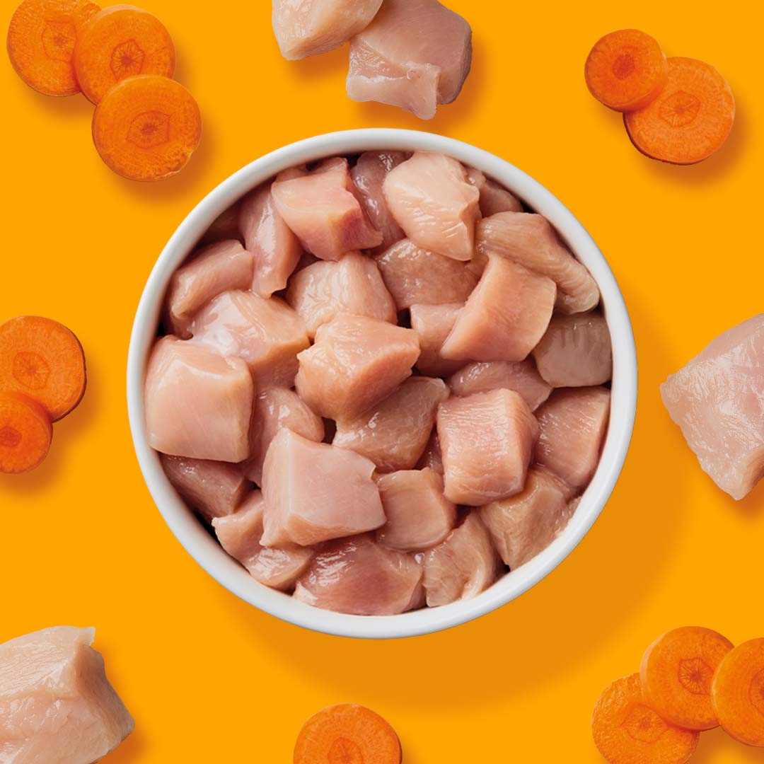BARF Komfort PLUS CAT Huhn Katzenfutter mit Hühnerfleisch und Karotten auf orangenem Hintergrund.