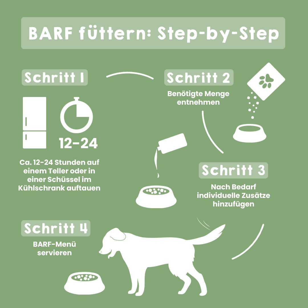 Infografik zur BARF-Fütterung von Rentierfleisch für Hunde mit Schritt-für-Schritt Anleitung in grünem Design