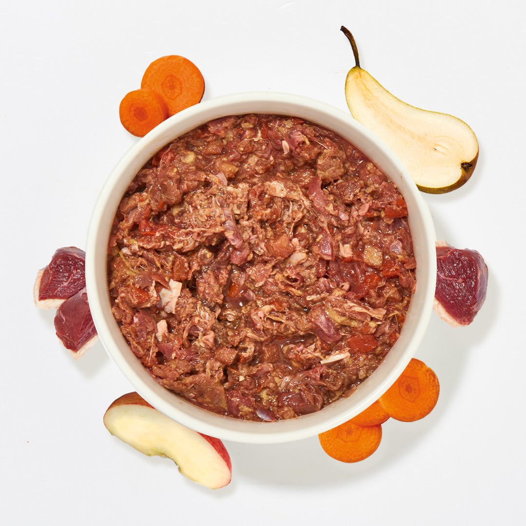 BARF Komfort PLUS Gans Hundefutter mit Gänsefleisch, Knochen, Karotten, Apfel und Birne in weißer Schüssel, Zutaten rundherum angeordnet
