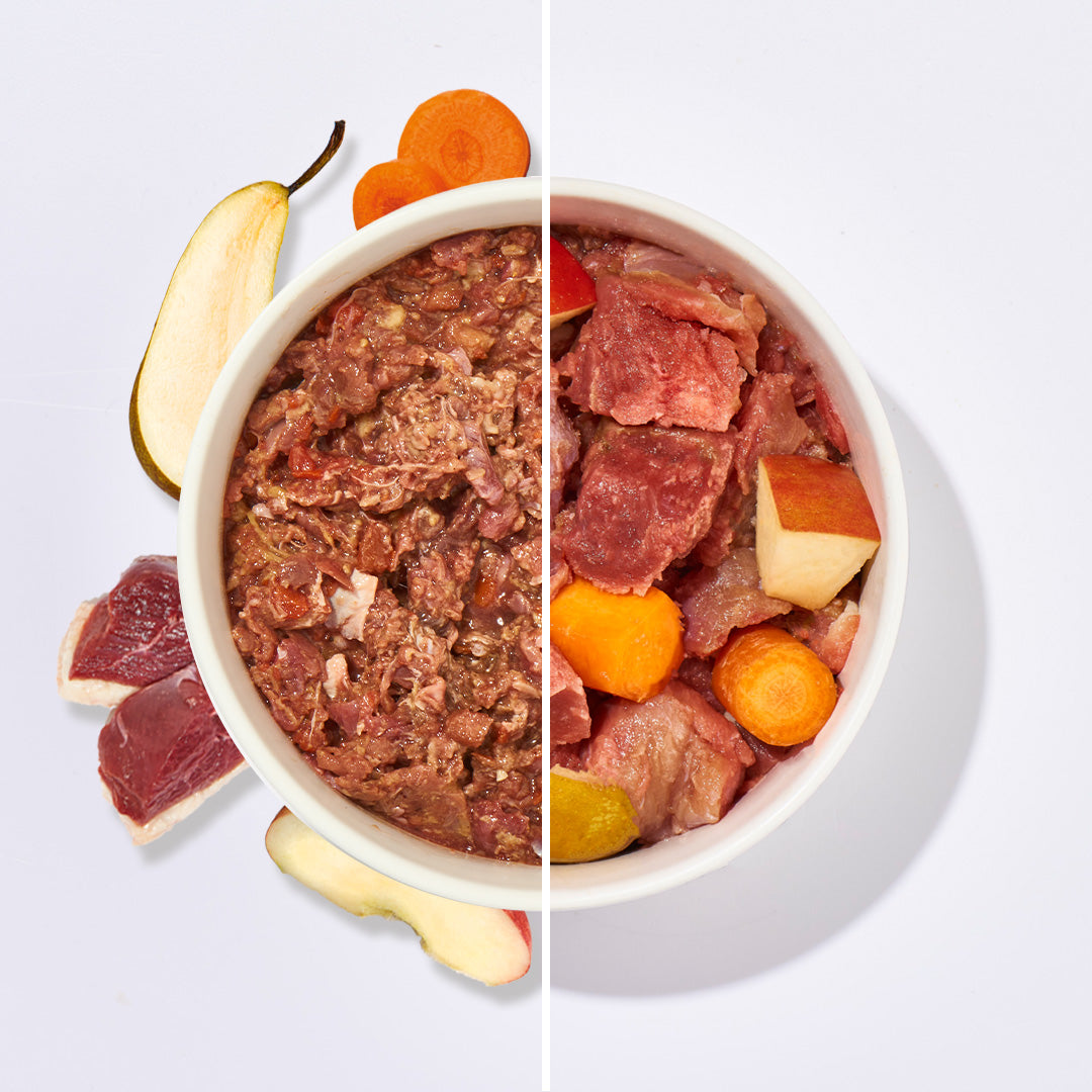 BARF Komfort PLUS Gans Hundefutter mit Gänsefleisch, Gemüse und Obst in Futterschale