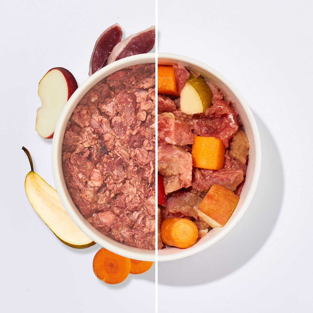 BARF Komfort PLUS Ente Hundefutter mit Entenkarkasse, Herz, Mägen, Gemüse und Obst in Futterschüssel