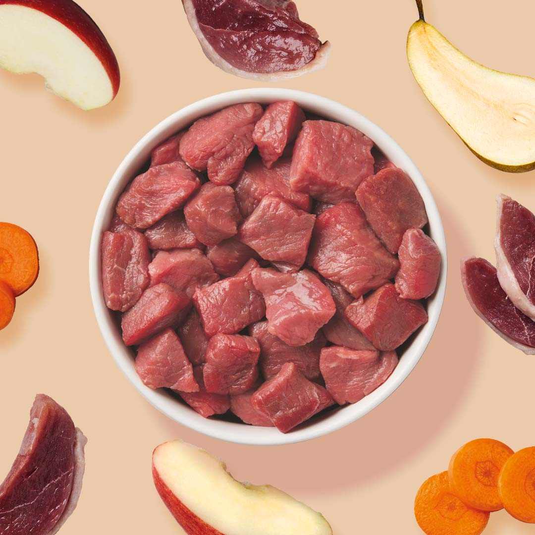 BARF Komfort PLUS Ente Hundefutter mit Entenkarkasse, Entenherz, Entenmägen, Karotten, Äpfeln, Birnen und Leinöl in Schüssel.