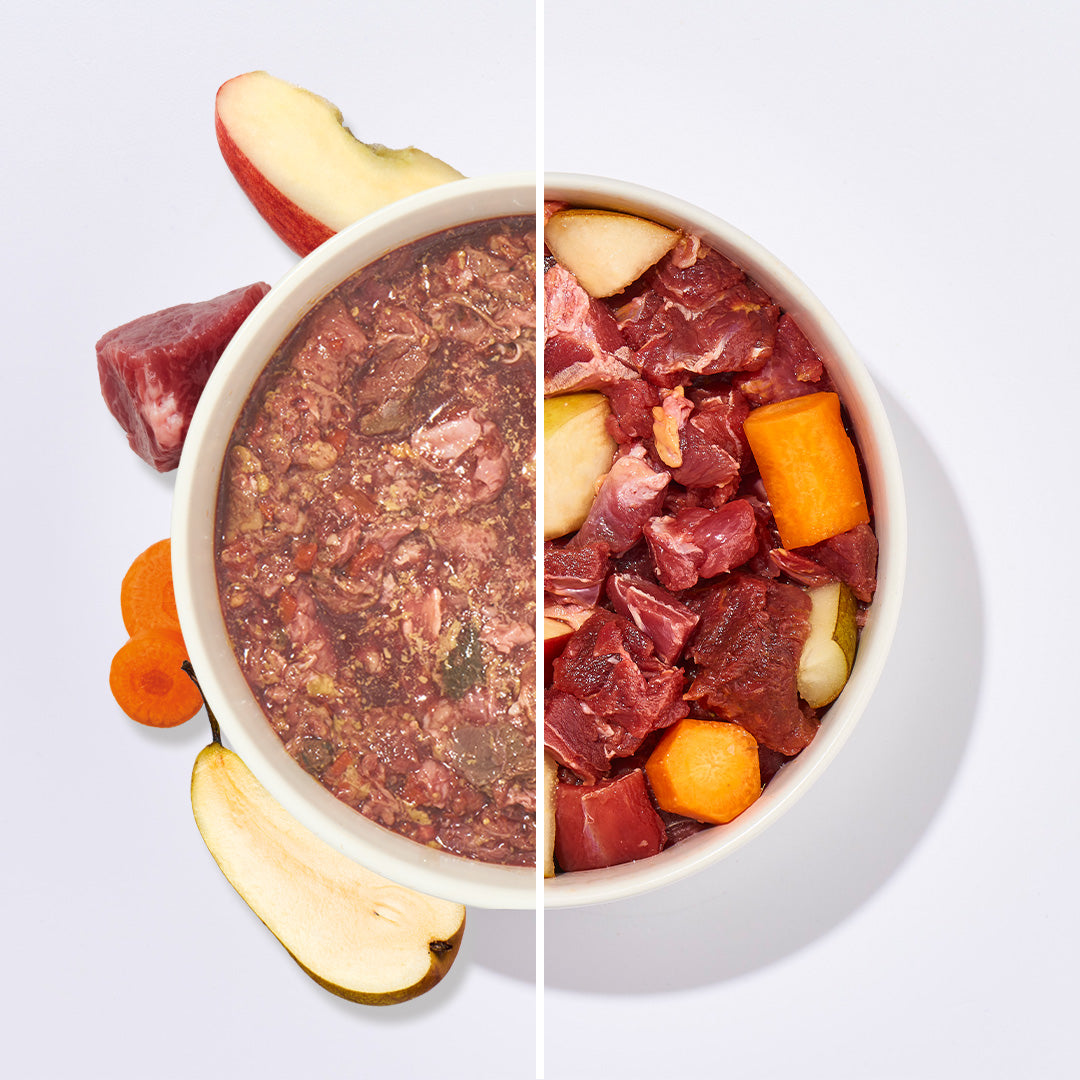 BARF Komfort PLUS Pferdefleisch und frisches Gemüse Hundenahrung in Schale