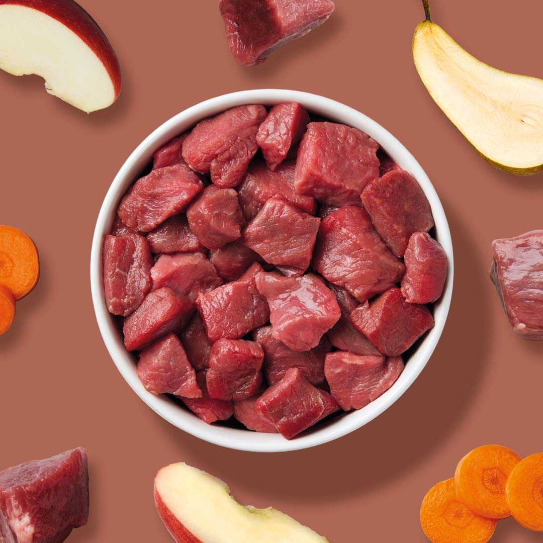 BARF Komfort PLUS Pferd, 250 g, Hundeernährung mit Pferdefleisch, Karotten, Äpfeln, Birnen und Leinöl.
