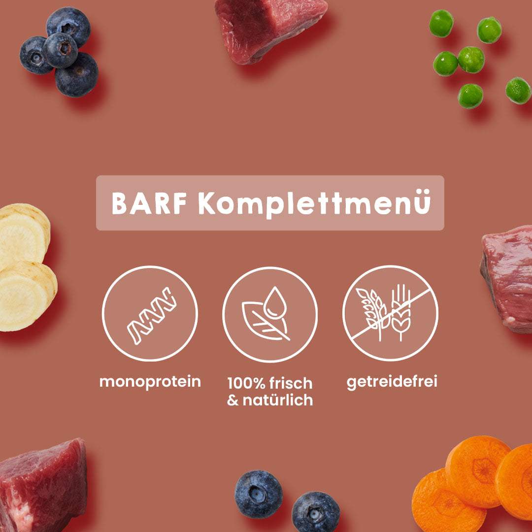 BARF Gourmet PLUS Pferd Komplettmenü mit saftigem Pferdefleisch, Obst, Gemüse, monoprotein, getreidefrei, für Allergiker geeignet.