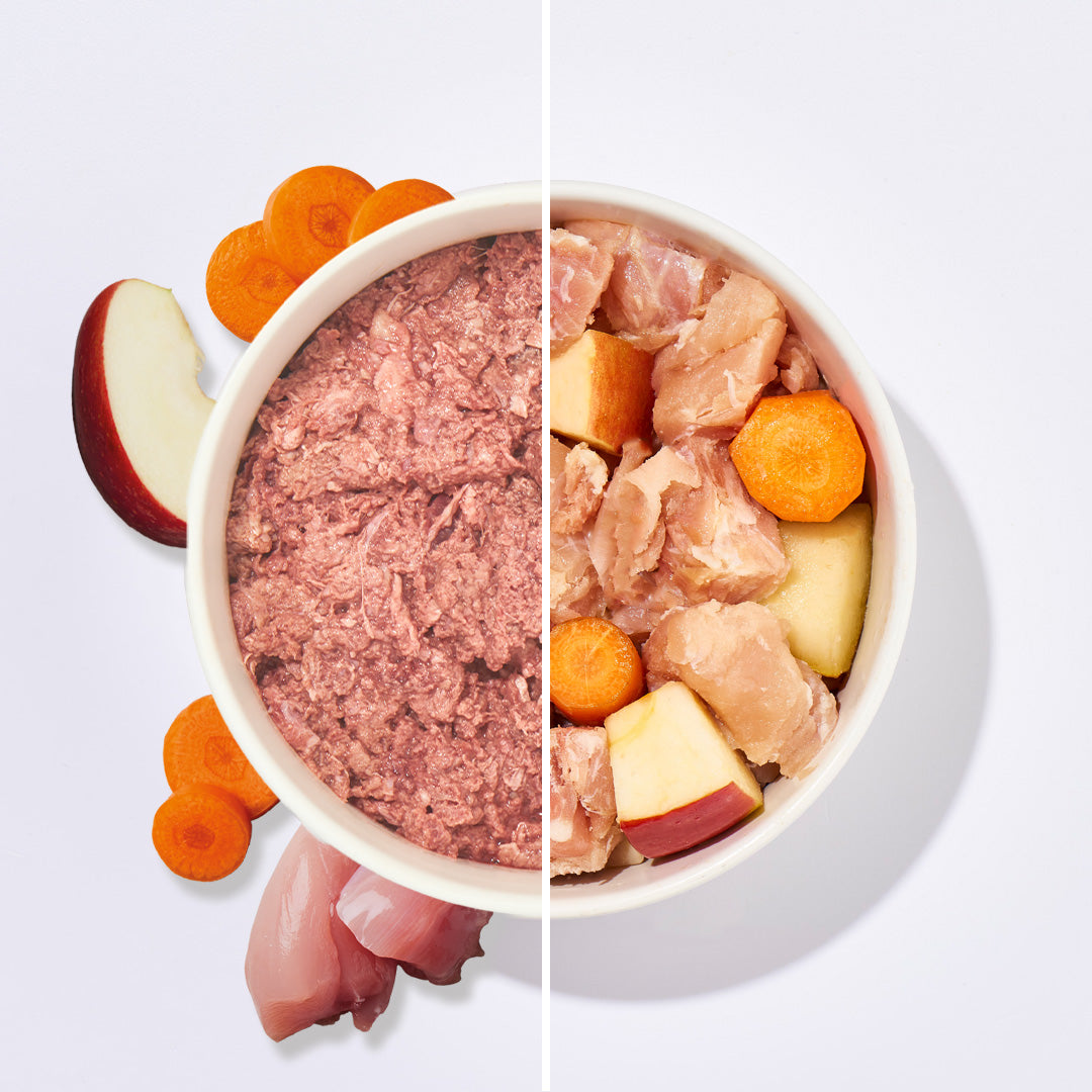 BARF Komfort PLUS Kaninchen Hundefutter mit Fleisch, Gemüse und Obst in Schüssel