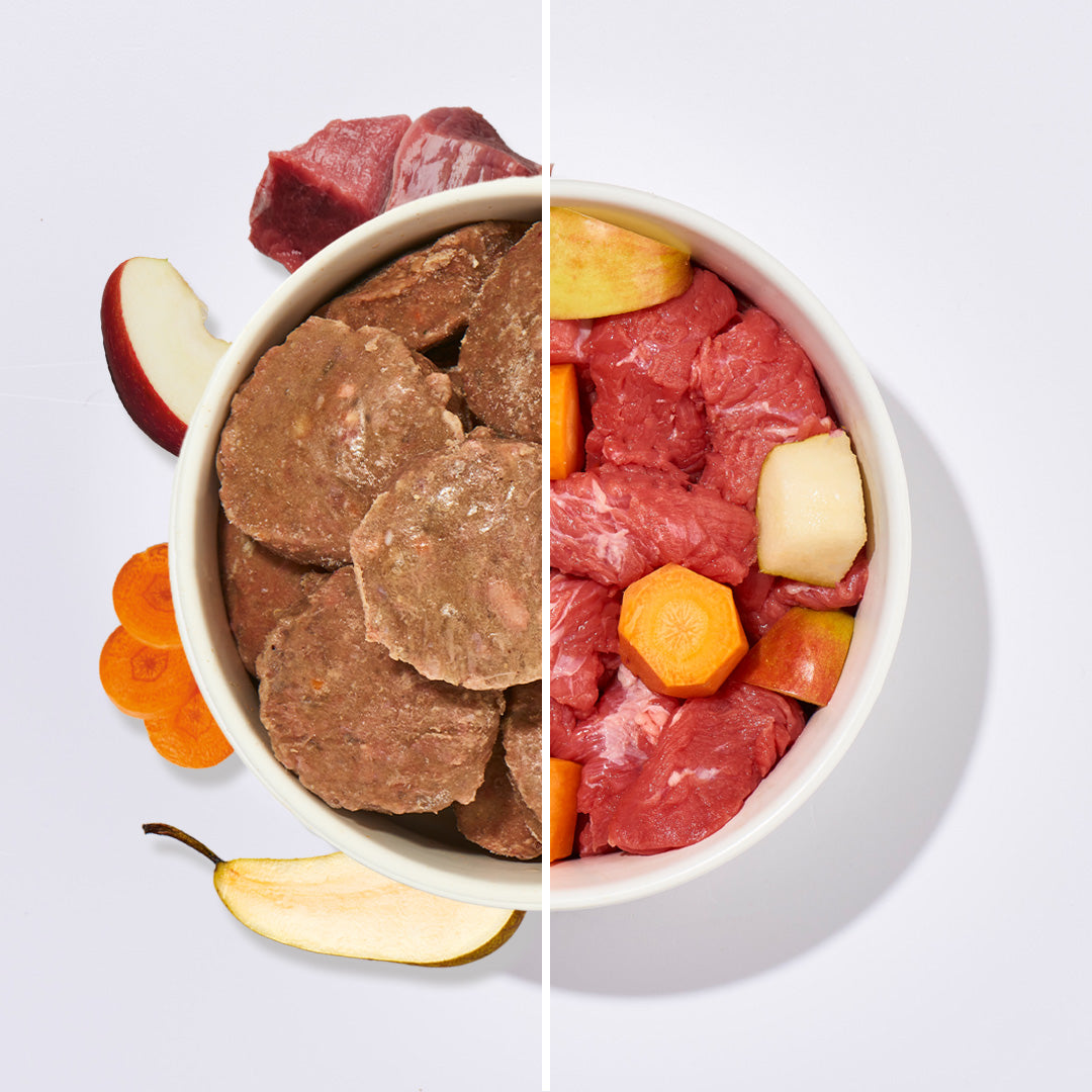 BARF Komfort PLUS Rind TALER mit Rindfleisch, Karotten, Äpfeln und Leinöl in Schale