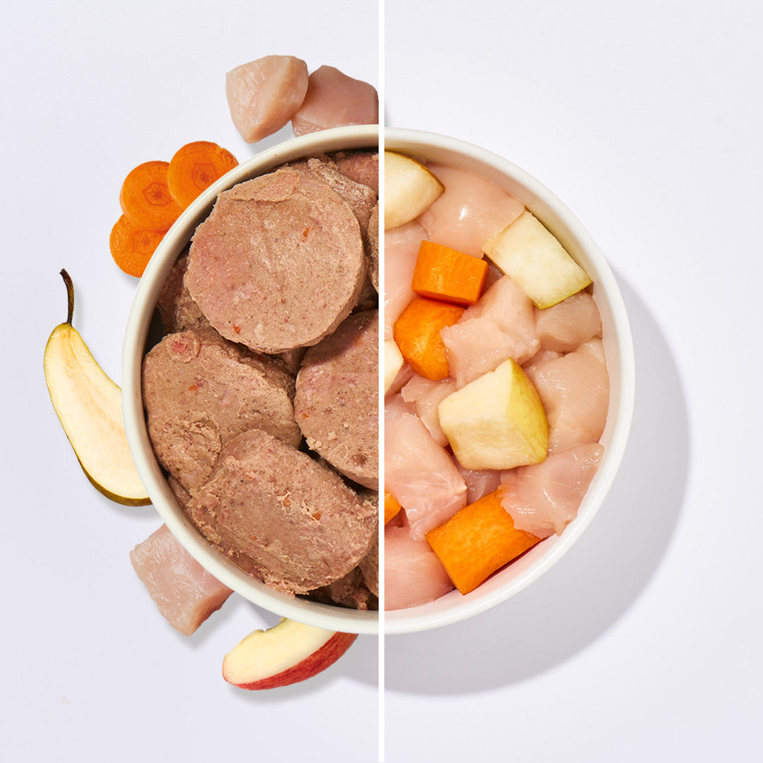 BARF Komfort PLUS Huhn TALER mit Hühnerfleisch, Karotten und Obst auf weißem Hintergrund