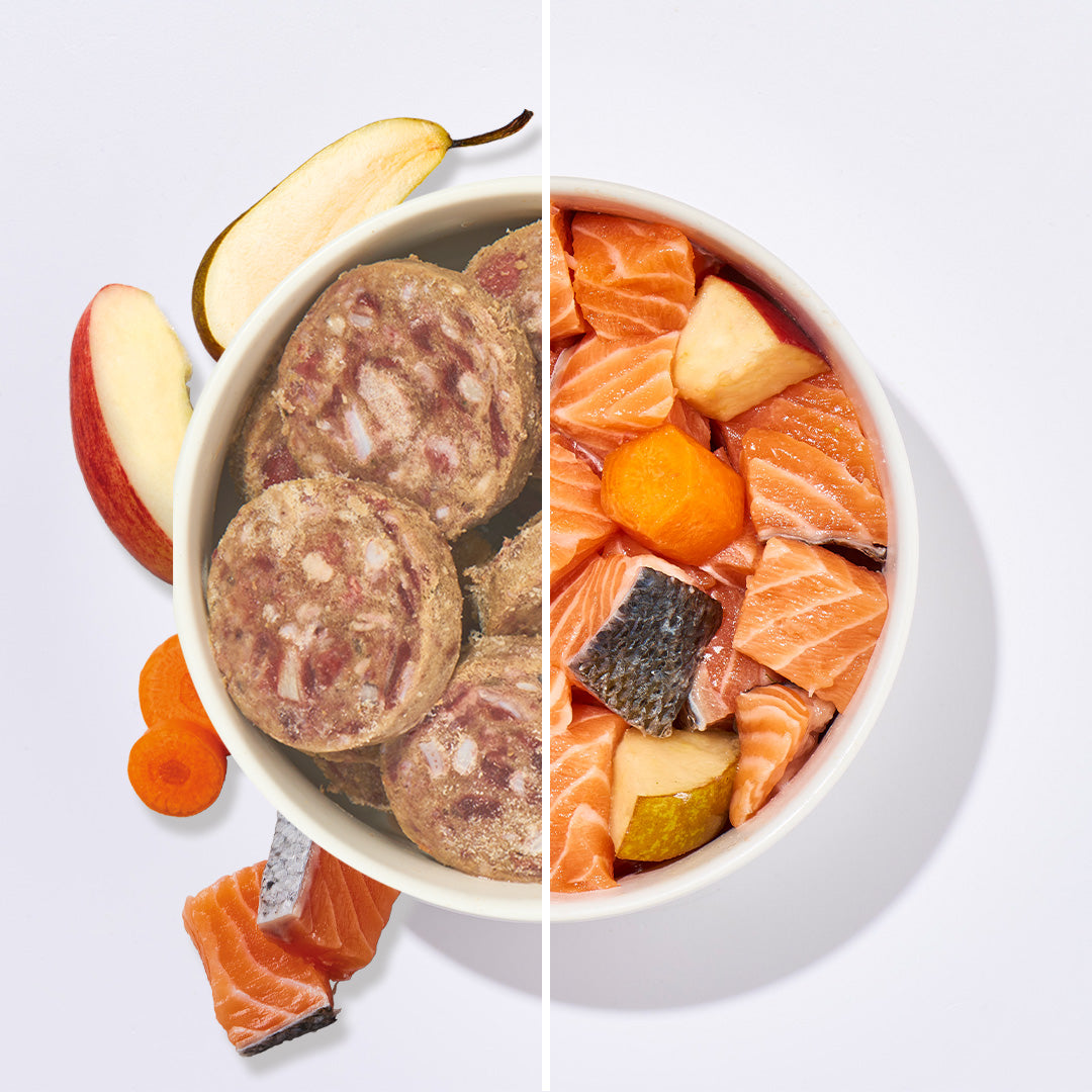 BARF Komfort PLUS Lachs Taler mit Fisch, Karotten, Äpfeln und Birnen in Schale