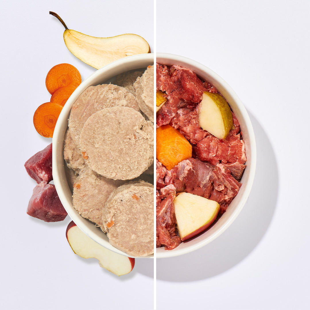 BARF Komfort PLUS Lamm Taler mit Lammfleisch, Innereien und Gemüse in Futterschale