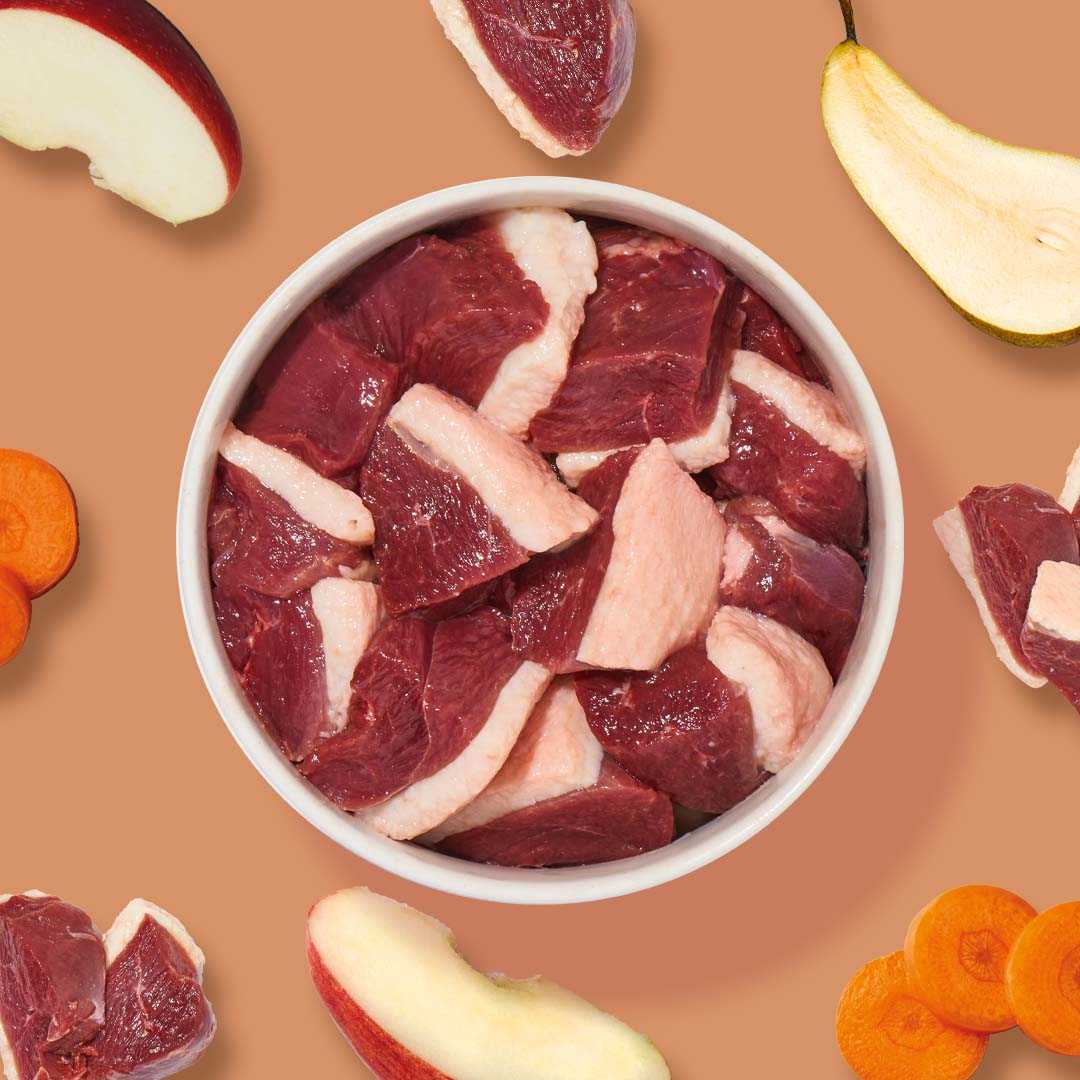 BARF Komfort PLUS Gans TALER in Schale mit Gänsefleisch, Karotten, Äpfeln und Birnen.
