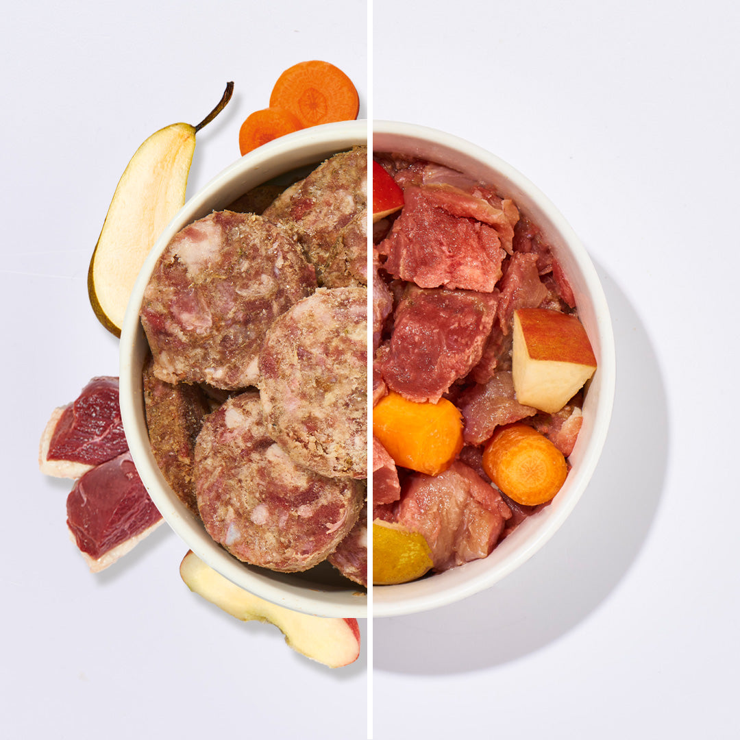 BARF Komfort PLUS Gans TALER mit Gänsefleisch, Gemüse und Obst in Schüssel