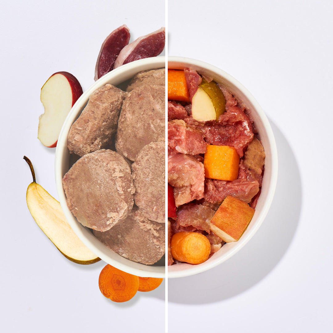 BARF Komfort PLUS Ente Taler mit Entenkarkasse, Herz, Magen, Gemüse und Obst in Schalenhälften