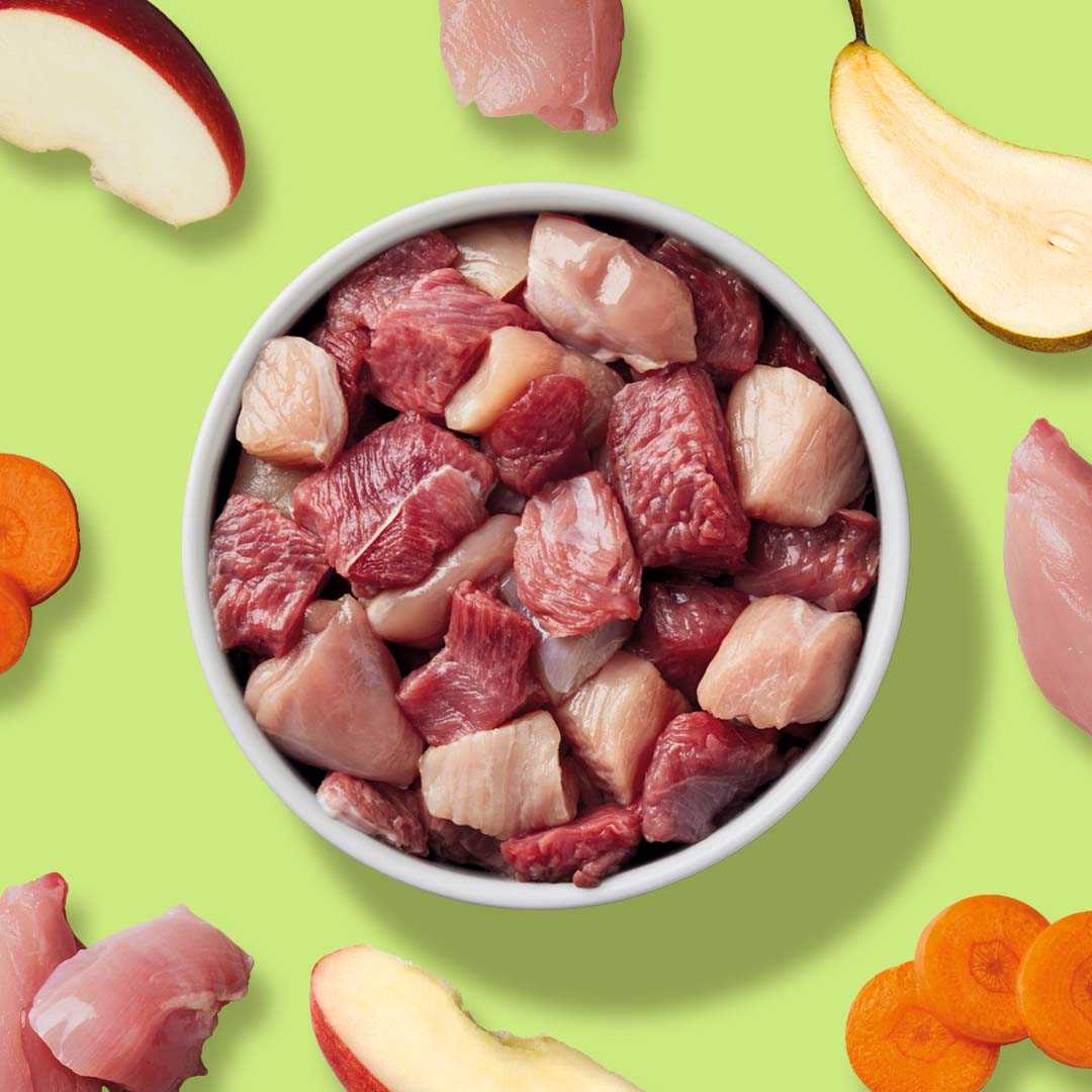 BARF Komfort PLUS Kaninchen Taler with carrots, apples, pears, and rich ingredients.