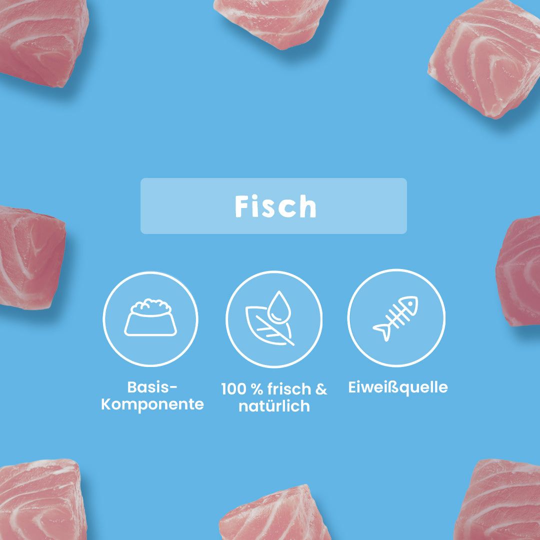Thunfischfilet gewürfelt, 250 g, frisch und natürlich, reich an Omega-3- und Omega-6-Fettsäuren, gesund für Hunde und Katzen.