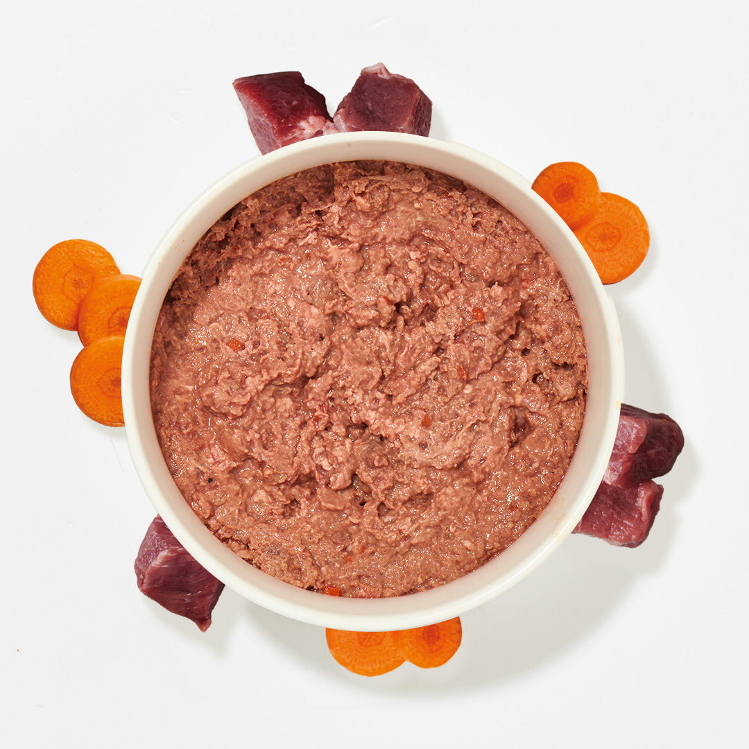 BARF Komfort PLUS CAT Lamm Katzenfutter mit Lammfleisch, Karotten und Lachsöl in Schale