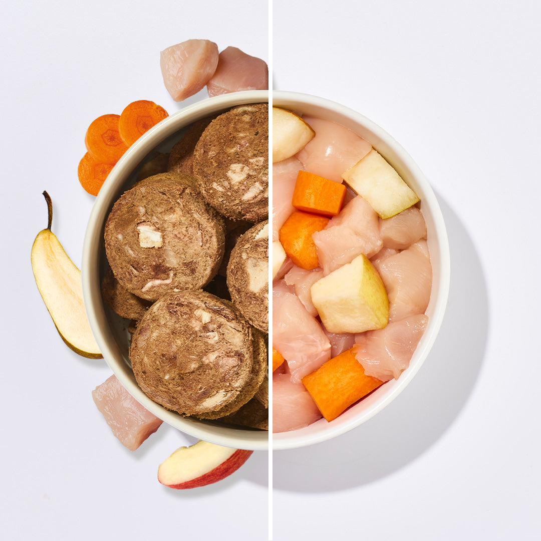 BARF2GO Komfort Plus Huhn Taler gefriergetrocknet neben frischem Hühnerfleisch und Gemüse in Schalen