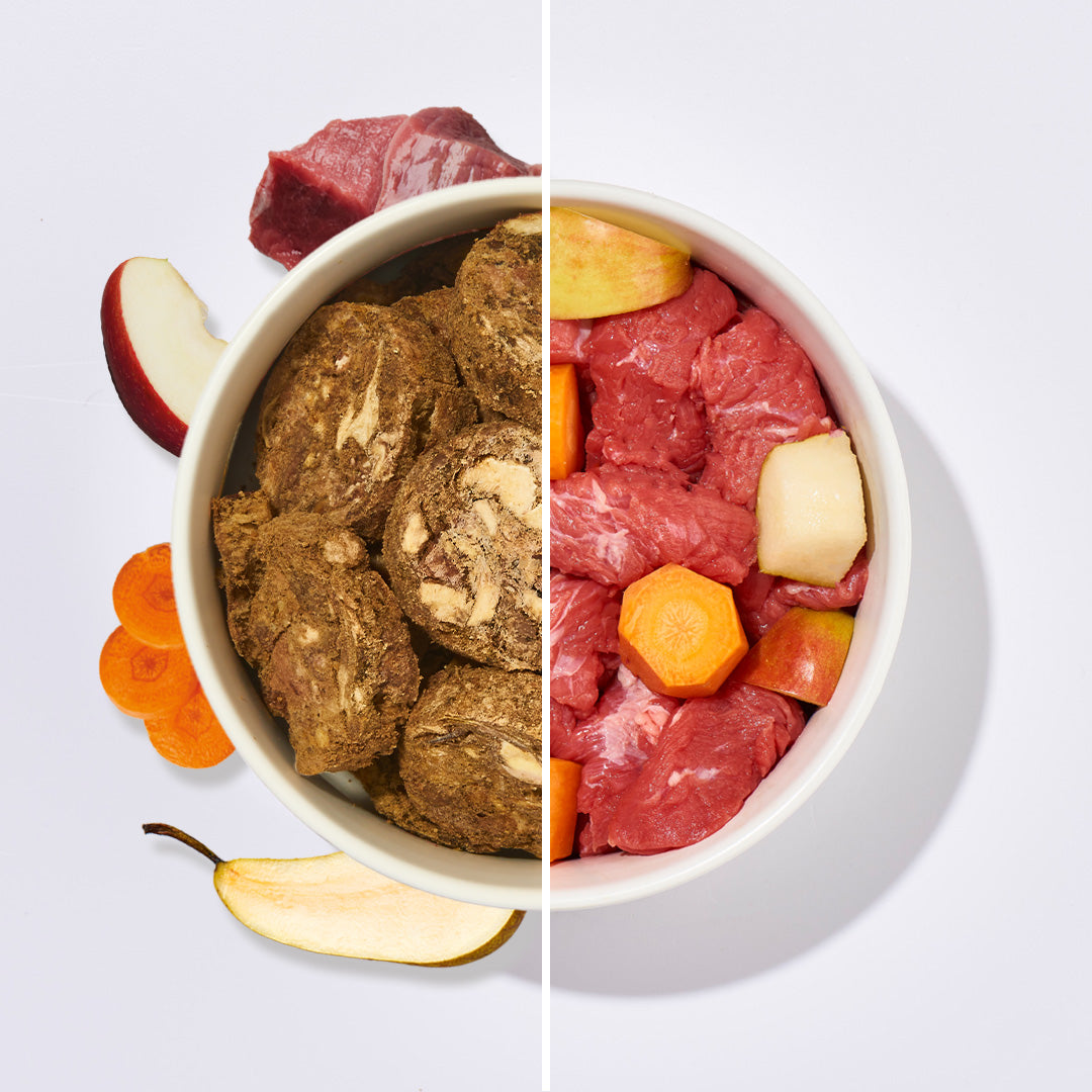 BARF2GO Komfort Plus Rind Taler gefriergetrocknet neben frischem Rindfleisch mit Gemüse in Schale