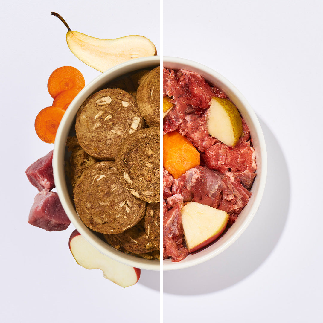 BARF2GO Komfort Plus gefriergetrocknete Lamm Taler für Hunde, artgerechte, leichte Portionierung, ideal für unterwegs und Urlaub