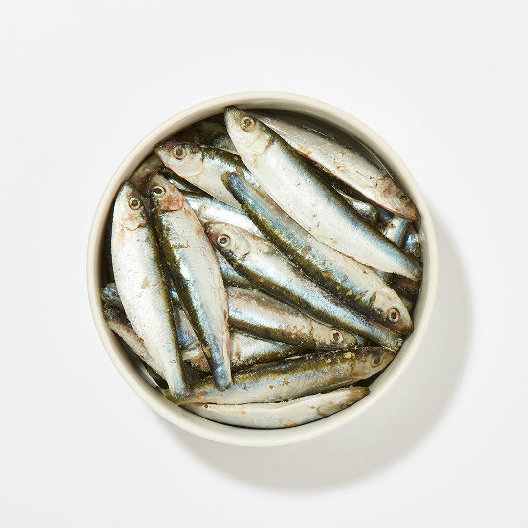 Sprotten im Ganzen in einer Schüssel, reich an Omega-3 und Omega-6 Fettsäuren, geeignet für Hunde und Katzen.