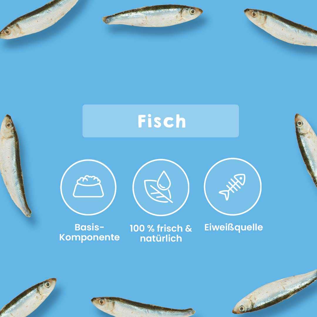 Sprotten im Ganzen, 500 g, reich an ungesättigten Fettsäuren, Omega-3 und Omega-6, für Hunde und Katzen geeignet.