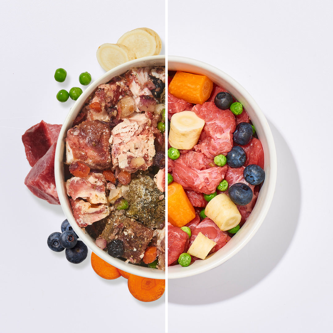 BARF Gourmet PLUS Rind stückiges rohes Hundefutter mit Rindfleisch, Gemüse und Obst in Napf, getreidefrei und ohne Zuckerzusatz