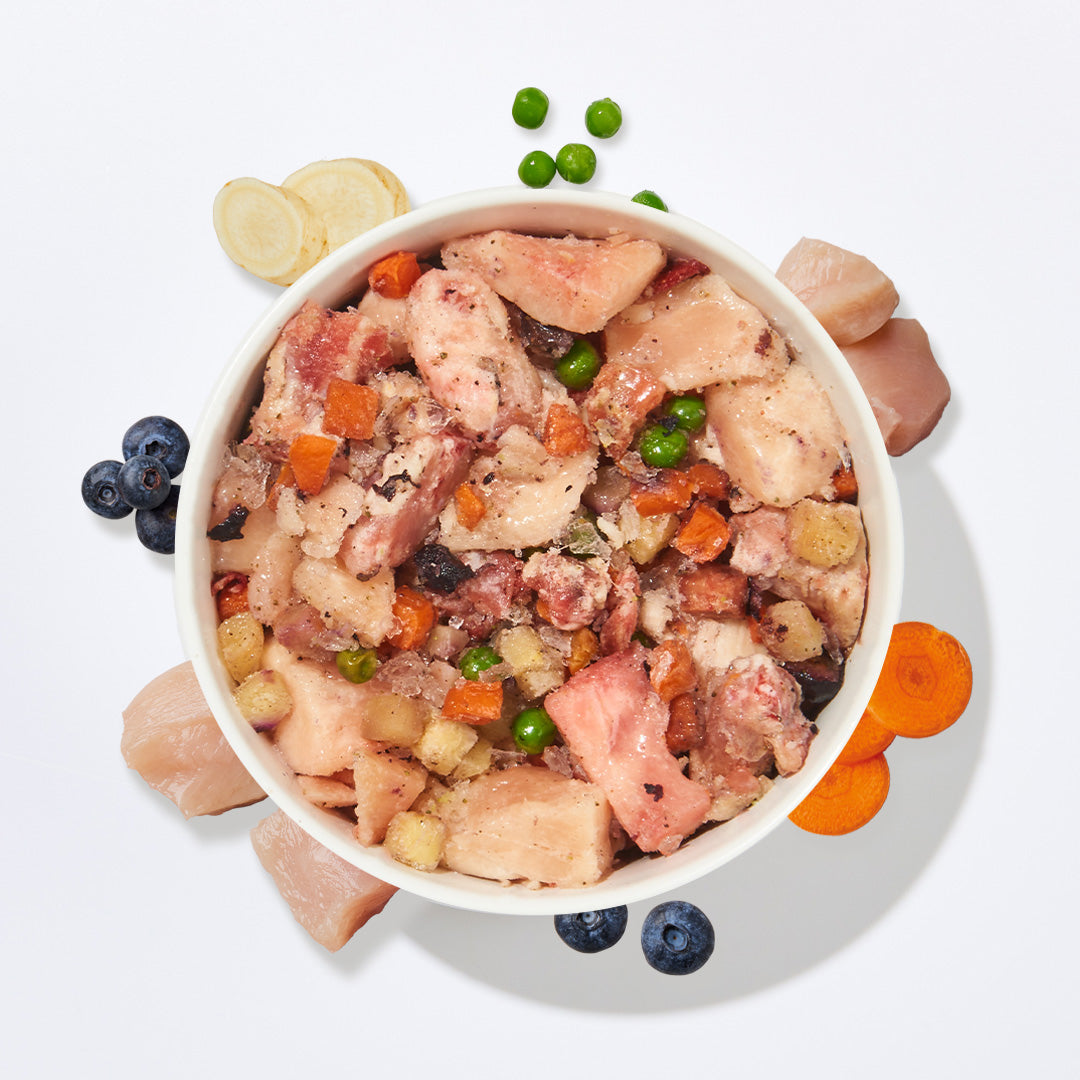 BARF Gourmet PLUS Huhn Hundemenü mit Fleischstücken, Gemüse und Obst in weißer Schale, frei von Getreide und Zuckerzusatz