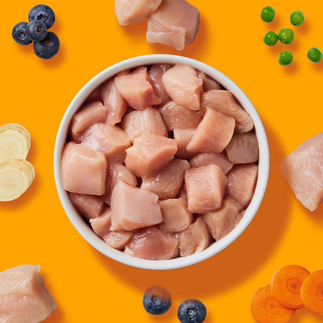BARF Gourmet PLUS Huhn Komplettmenü mit saftigem Fleisch, Obst und Gemüse auf orangem Hintergrund.