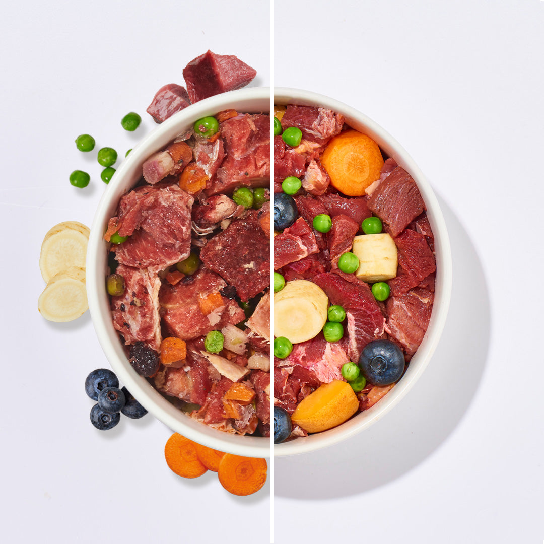 BARF Gourmet PLUS Pferd Hundemenü mit Pferdefleisch, Gemüse, Obst und Knochen, getreidefrei und ohne Zuckerzusatz