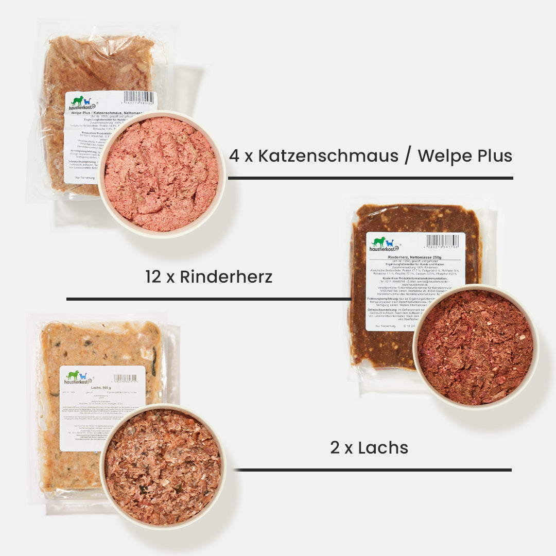 Schlemmer Paket Katze 15 kg mit Rinderherz, Katzenschmaus Welpe Plus und Lachs in einzelnen Portionen